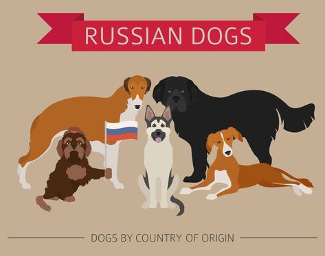 There are many Russian dog breeds out there. And not all of them have been officially recognized by the American Kennel Club (AKC).



While some of these dogs were brought to the United States at some point, others were never even considered bred in America.



Let's examine some popular Russian dog breeds and why you should consider bringing one home next. 



After all, they can be just as affectionate as any other dog breed while getting a special uniqueness only found in Russian breeds.... Russian Dog Breeds, Russian Bear Dog, Russian Dogs, Russian Toy Terrier, Family Dogs Breeds, Caucasian Shepherd, Finnish Spitz, Black Russian Terrier, Loyal Dogs