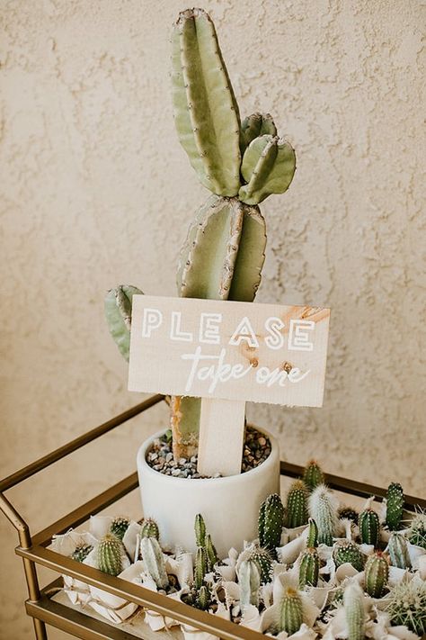 Cactus Baby Shower Ideas