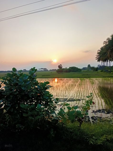 Indian Fields, Haryana Village, Tamilnadu Village, Aesthetics Outfits, Instagram Photo Frame, Tamil Nadu, Beautiful Sunset, Photo Frame, My Love