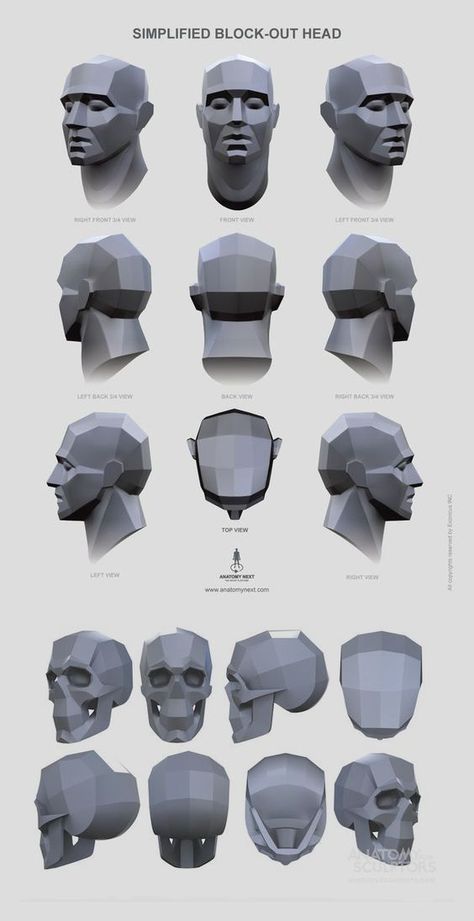 Skull Planes Anatomy, Shading Head Reference, Head Planes Anatomy, Planes Of The Head Reference, Skull Proportions Drawing, Plans Of The Face, Anatomy For Sculptors Face, Head Anatomy Sketch, Face Planes Reference