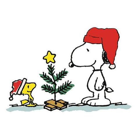 Snoopy Christmas Tree, Merry Christmas Images Free, Christmas Images Free, Charlie Brown Tree, Snoopy Mug, Charlie Brown Christmas Tree, Christmas Tree Drawing, Japan Illustration, Snoopy Wallpaper