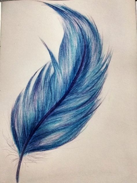 Pin with a feather drawing Feather Drawing Biro, Charcoal Feather Drawing, Colorful Feather Drawing, Feather Drawing Reference, Feather Drawing Pencil, Watercolour Feathers, Feather Art Drawing, Feather Art Projects, Feathers Drawing