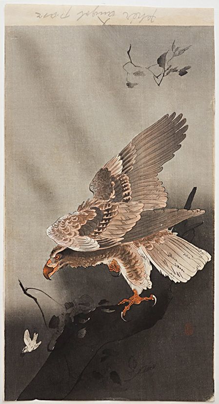 Koson Ohara, Shin Hanga, Japanese Woodblock Print, Ohara Koson, Japanese Woodblock, Japanese Woodblock Printing, Woodblock Print, Art Movement, New Print