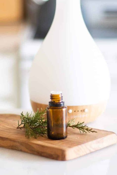 Siberian Fir Essential Oil, Our Oily House, Roller Bottle Recipes, Siberian Fir, Roller Bottle Blends, Laundry Soap Homemade, Essential Oil Education, Essential Oils For Sleep, Citrus Essential Oil