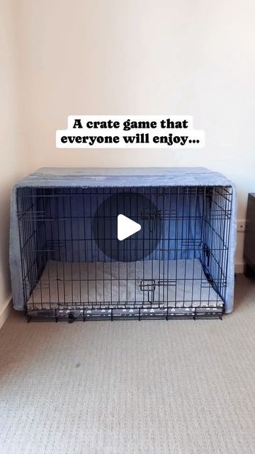 Shaina | Puppy Training and Care Tips on Instagram: "My favourite crate game for race weekend… 

We all spend time each week lazing in front of the TV or reading a book and I’ve got great news… this is the perfect time to fit a crate game in. 

Netflix and Crate is a fun way that your puppy can learn to relax alongside you in their crate is also forms the foundation skill for being able to sit and relax next to you when out in public. 

But don’t stop with this game, we have a list of fun crate games for you to play with your puppy to get them loving their crate in no time. 
📲 Comment “crate guide” and ill send the link to our downloadable crate training guide direct to your DMs. 

#cratetraining #puppytraining #crategames #dogtraining #puppytips #dogtips" Crate Games For Puppies, Games For Puppies, Puppy Games, Puppy Advice, Crate Training Puppy, Puppy Crate, Crate Training, Toy Puppies, Reading A Book