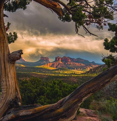 Landscape Hotel, Arizona Aesthetic, Desert Pictures, Travel Arizona, Desert Aesthetic, Arizona Photography, Arizona Landscape, Outdoor Photographer, Sedona Az