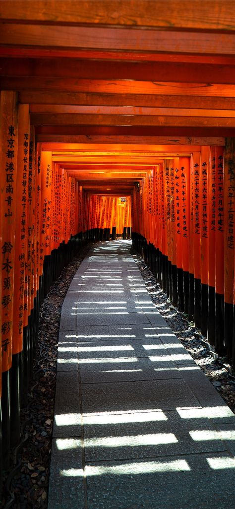 Fusihimi Inari, Kyoto, Japan Iphone Wallpaper Japan, Japanese Wallpaper Iphone, Japan Temple, Japan Architecture, Torii Gate, Japanese Temple, Japan Photography, Japan Aesthetic, Aesthetic Japan