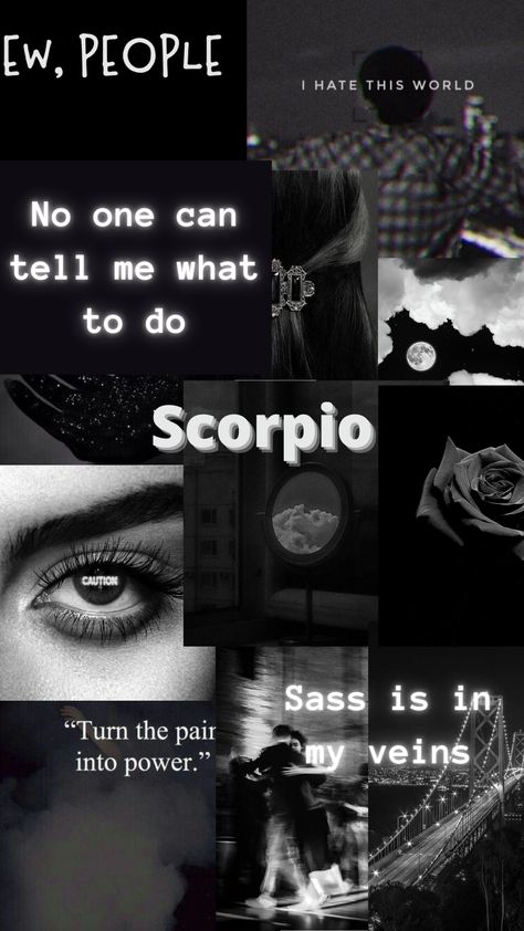 Scorpio Wallpaper Black, Scorpio Wallpaper Aesthetic Black, Scorpio Season Aesthetic Wallpaper, Scorpion Zodiac Wallpaper, Scorpio Vibes Aesthetic Wallpaper, Scorpio Aesthetic Pics, Scorpion Aesthetic Wallpaper, Scorpio Sign Wallpaper, Scorpio Aesthetic Moodboard