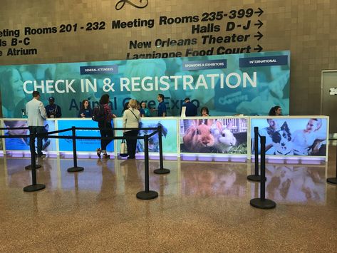 We need a different kiosk style but this look is good. Registration Desk Design Event, Mass Timber, Corporate Events Decoration, Event Registration, Event Design Inspiration, Networking Event, Desk Design, Bold Design, Walkway