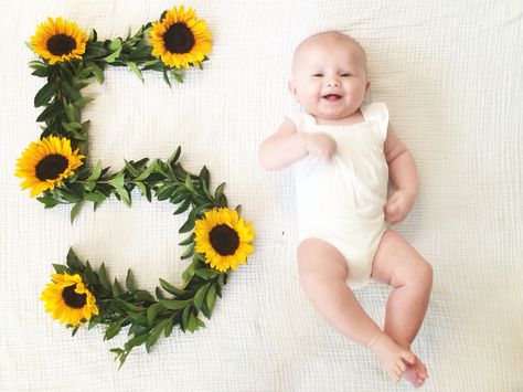 5 months old! Monthly photo journal- I use flowers to make each number. Baby Gender Reveal Announcement, Baby Infographic, Newborn Baby Quotes, Photos With Flowers, 5 Month Baby, 5 Month Old Baby, Baby Birthday Photoshoot, Monthly Baby Pictures, Baby Milestone Photos