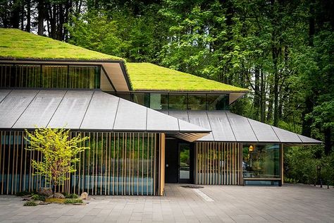 Portland Japanese Garden Cultural Village by Kengo Kuma Green Roof Design, Portland Japanese Garden, Japanese Garden Design, Kengo Kuma, Japanese Architect, Modern Garden Design, Luxury Garden, Garden Architecture, Green Architecture