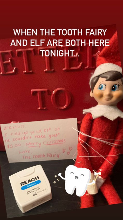 Elf On The Shelf And Tooth Fairy Ideas, Tooth Fairy And Elf On The Shelf, Elf On The Shelf Lost Tooth Ideas, Elf And Tooth Fairy Ideas, Elf Tooth Fairy Ideas, Elf On The Shelf Tooth Fairy Ideas, Elf Is Back Ideas, Easy Napkin Folding, Paper Napkin Folding