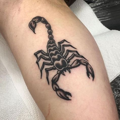 Traditional Tattoo Scorpion, Traditional Black Tattoo, Cactus Tattoo, Traditional Style Tattoo, Tattoo Background, Traditional Tattoo Sleeve, Scorpion Tattoo, Arm Band Tattoo, Gaming Tattoo