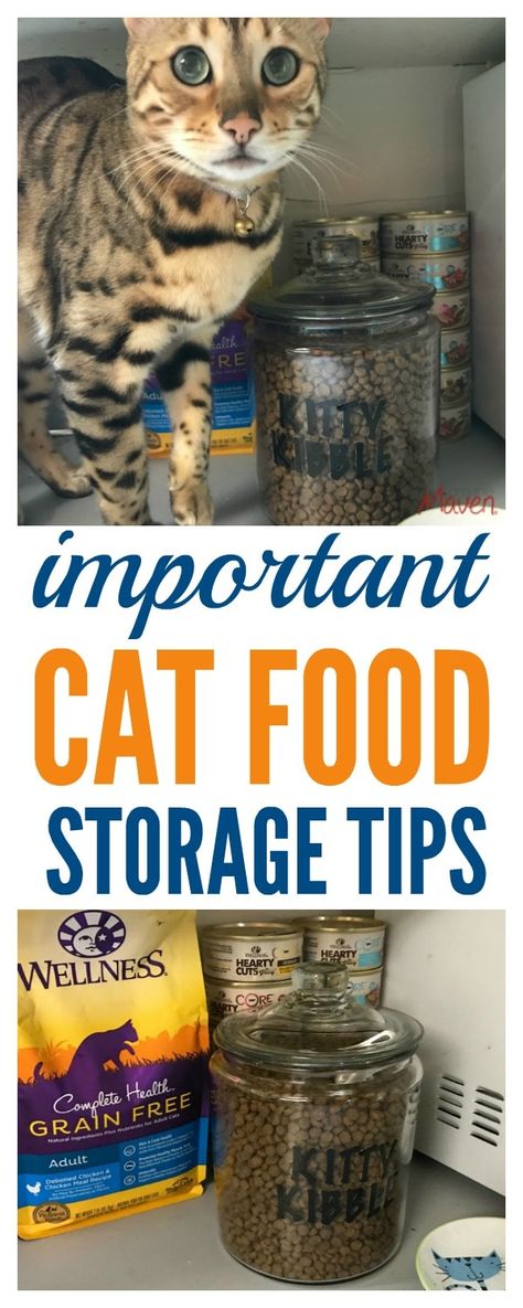 Love your cat? Don't miss these important cat food storage tips! ad Cat Diet Plan, Cat Diet, Cat Nutrition, Pet Food Storage, Cat Food Storage, Storage Tips, Cat Care Tips, Dog Food Storage, Dry Cat Food