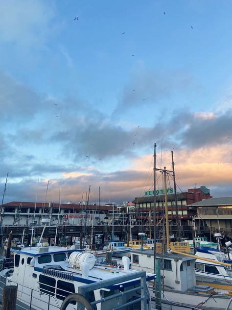 San Framciscos Fishermans Wharf sunset marina Fisherman's Wharf San Francisco, Go Usa, Fishermans Wharf, Napa Valley, Bay Area, San Francisco, California