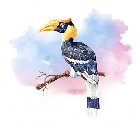 Great Hornbill, Hornbill Bird, China Culture, Bird Watercolor Paintings, Bird Watercolor, Halftone Dots, Futuristic Background, Flat Icons Set, Diy Watercolor Painting