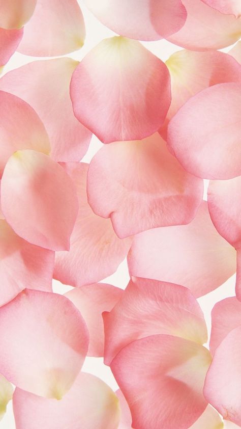 Confetti Cones, Cocoppa Wallpaper, Summer Icon, Mac Wallpaper, Deco Floral, Screen Wallpaper, Ipad Wallpaper, Wallpaper Iphone Cute, Aesthetic Iphone Wallpaper