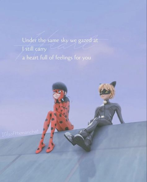 Miraculous Fanfic, Miraculous Aesthetic, Ladybug Quotes, Catnoir And Ladybug, Anime Love Quotes, Miraculous Ladybug Oc, Miraculous Wallpaper, Miraculous Ladybug Wallpaper, Miraculous Ladybug Fanfiction