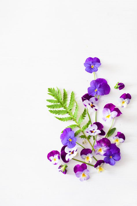 Flower Flatlay, Flowers Flatlay, Autumn Tree Branch, Replica Surfaces, Greenery Background, Flower Petal Art, Petal Art, Pink Gerbera, Tiny White Flowers