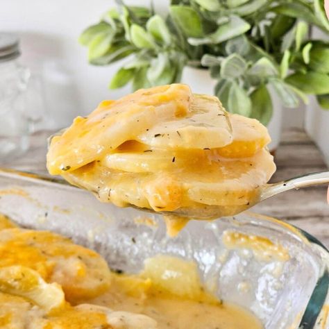 Irresistibly Creamy Gluten and Dairy Free Scalloped Potatoes Dairy Free Scalloped Potatoes, Gluten Free Bread Brands, Gluten Free Scalloped Potatoes, Scalloped Potato Recipe, Quick Gluten Free Meals, Gluten Free Bread Machine, Bread Brands, Scalloped Potato, Scalloped Potatoes Recipe