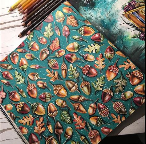 Enchanted Forest acorns More Enchanted Forest Johanna Basford, Forest Tattoo Sleeve, Forest Animals Illustration, Forest Sketch, Basford Secret Garden, Basford Enchanted Forest, Enchanted Forest Coloring Book, Joanna Basford Coloring, Johanna Basford Enchanted Forest