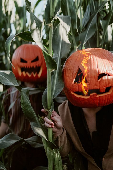 Pumpkin head photo challenge Pumpkin Carving Ideas For Head, People Wearing Pumpkins On Head, Pumpkin Head Photoshoot Ideas, Pumpkin On Head Photoshoot, Pumpkin Head Pics, Pumpkin Head Halloween Costume, Pumpkin Heads Photoshoot, Pumpkin Head Carving Ideas, Pumpkin Head Ideas