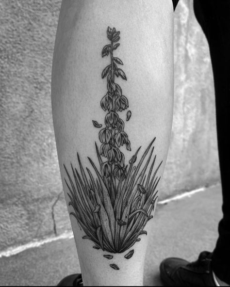 Yucca Plant Tattoo, Yucca Tattoo, El Salvador Tattoo Ideas, New Mexico Tattoo, Hen Tattoo, Mexico Tattoo, Yucca Plant, Plant Tattoo, Back Of Shoulder Tattoo