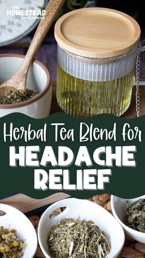 yellow tea and herbs Herbs For Headaches, Tea For Migraines, Herbal Tea Recipes Homemade, Teas For Headaches, Tea Blends Recipes, Herbal Tea Garden, Herbal Medicine Recipes, Herbal Remedies Recipes, Best Herbal Tea