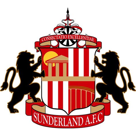 Sunderland Sunderland Tattoo, Sunderland Football, Book Sculptures, Sunderland Afc, Football Drawing, Logo Football, Football Logos, Diy Rock Art, Arsenal Football Club