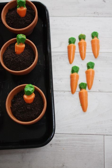 CHOCOLATE MOUSE served in miniature FLOWER POTS with homemade CHOCOLATE CARROTS make a showstopping EASTER theme PUDDING. Pin for later or head to the blog for more details and lots of other great ideas. #chocolatemouse #pots #flowerpot #desserts #foodstyling #chocolate #easter #spring #dessertideas #puddingideas #showstoppingpuddings #easypuddings #chocolatecarrots #whitechocolate #ideas #recipes #easyentertaining #easterideas #easterentertaining Chocolate Carrots, Flower Pot Cake, Dirt Cups, Easy Puddings, Easter Entertaining, Dirt Cake, Easter Theme, Small Flower Pots, Spring Tea