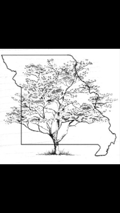 Missouri state outline with the state tree (flowering dogwood) inside. I think it would look cool as a tattoo on the inside of a wrist or ankle. Missouri Tattoo Ideas, Missouri Tattoo, State Tattoo Ideas, City Outline, State Tattoos, Roots Tattoo, Flowering Dogwood, State Of Kansas, Missouri State