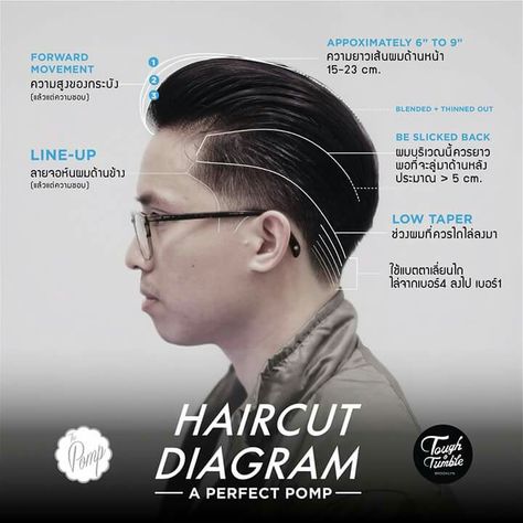 Haircut diagram Low Taper Haircut, Haircut Diagram, Pompadour Haircut, Barber Haircuts, How To Fade, Barbers Cut, Natural Oils For Skin, Pompadour Hairstyle, Tapered Haircut