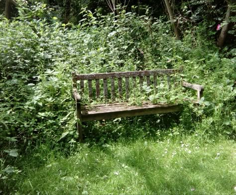 Overgrown bench near Tenbury Wells, Worcestershire Overgrown Forest, Mel Core, Clothing Folds, Abandonment Issues, Bench Covers, Garden Vines, Picnic Bench, Tree Swing, Painting Inspo