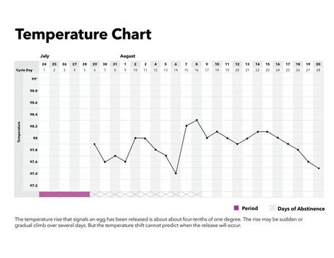 What is the Temperature Method? | Basal Body Temperature Basal Body Temperature, Period Days, Temperature Chart, Fertility Awareness, Bettering Myself, Body Temperature, Birth Control