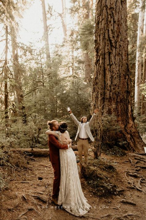 Hoh Rainforest Washington, Rainforest Pictures, Woodsy Elopement, Elopement With Family, Elopement Decor, Hoh Rainforest, Forest Elopement, Washington Elopement, Outdoor Elopement