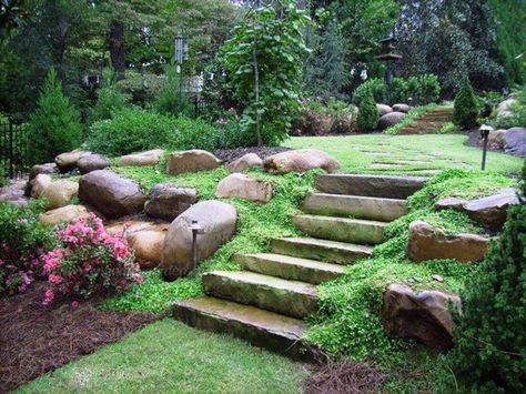 stairs for South side. Not sure about the green stuff.... Large Yard Landscaping, Sloped Backyard Landscaping, Large Backyard Landscaping, Sloped Backyard, Small Front Yard Landscaping, Garden Stairs, Landscaping Inspiration, Hillside Landscaping, Sloped Garden