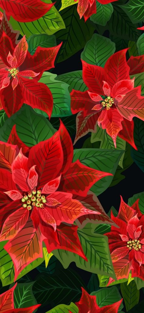 Poinsettia Wallpaper, Christmas Screen Savers, Orchid Wallpaper, Flower Dictionary, Merry Christmas Wallpaper, Baby Reindeer, Holiday Images, Merry Christmas Images, Iphone Wallpaper Photos