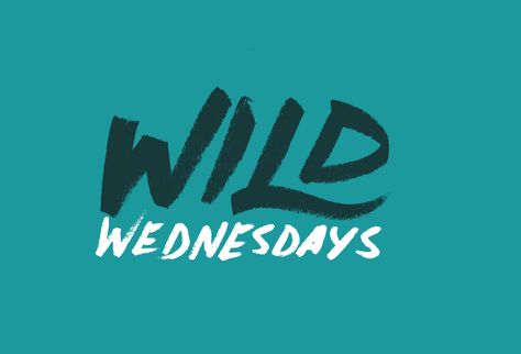 Wild Wednesday Quotes, Wild Wednesday, Wednesday Font, Wednesday Graphic, Marker Typography, Wednesday Typography, Wild Posting Advertising, Wild Typography, Handwriting