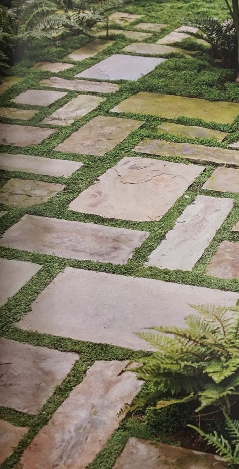 Grass Pavers, Pathway Ideas, Outdoor Paving, Pathway Landscaping, Courtyard Gardens Design, Stone Walkway, Garden Entrance, Garden Walkway, Have Inspiration