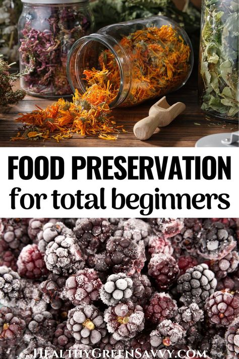 Food preservation is a lot easier than most people think! These simple beginner preserving techniques don't require any special skills or equipment and will save you money. Find out how to get started preserving a little of your own food. #preserving #foodpreservation | dehydrating food | green living tips | reduce waste | preserving for beginners | Frugal Healthy Meals, Preserve Vegetables, September Meals, Preserve Herbs, Survival Preparedness, Food Preserving, Garlic Honey, Preserving Herbs, Can Food