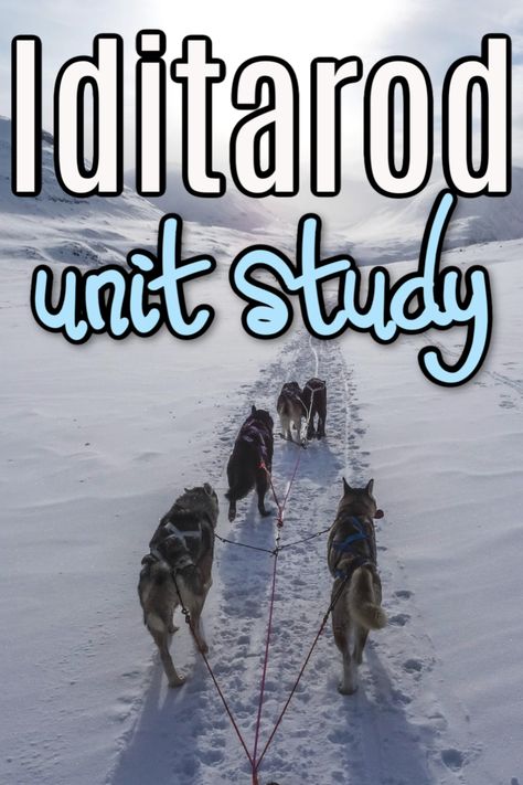 Alaska Homeschool Unit, Iditarod Activities For Kids, Iditarod Crafts, Iditarod Lessons, Iditarod Activities, Forest Unit, Homeschool Units, Alaska Dog, Winter Unit