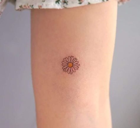 Minimalist Daisy Tattoo Simple, Daisy Small Tattoo, Cute Daisy Tattoo, Take It Easy Tattoo, Tattoo Daisies, Tiny Daisy Tattoo, Daisy Tatoos, Daisies Tattoo, Tiny Hidden Tattoos