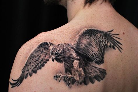 Biomechanical Tattoo Design, Hawk Tattoo, Tattoo Bird, Tattoo Nature, Aquarius Tattoo, Biomechanical Tattoo, Eagle Tattoos, Eagle Tattoo, Most Popular Tattoos