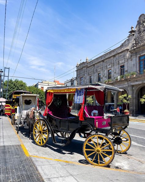 Guadalajara, Mexico #guadalajara #guadalajara🇲🇽 #guadalajarajalisco #mexico #mexico🇲🇽 #visitmexico #travelmexico Visit Mexico, Santa Clara, Mexico Travel, Instagram Posts, Instagram, Mexico