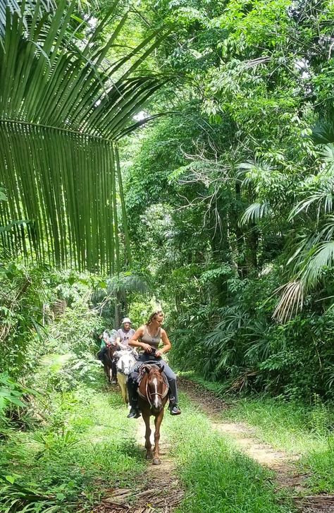 Belize Horseback Riding Jungle Adventures at Mountain Equestrian Trails Private Nature Preserve Horseback Riding Costa Rica, Horseback Riding Trails, Howler Monkey, Waterfall Trail, Mission Trip, Jungle Adventure, Missions Trip, Nature Preserve, Trail Riding