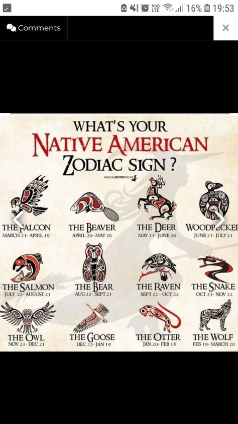 Libra Spirit Animal Tattoo, Native American Knowledge, Native American Facts, Native American Zodiac, Celtic Zodiac, Native American Animals, Native American Spirituality, Indian Names, Libra Quotes Zodiac