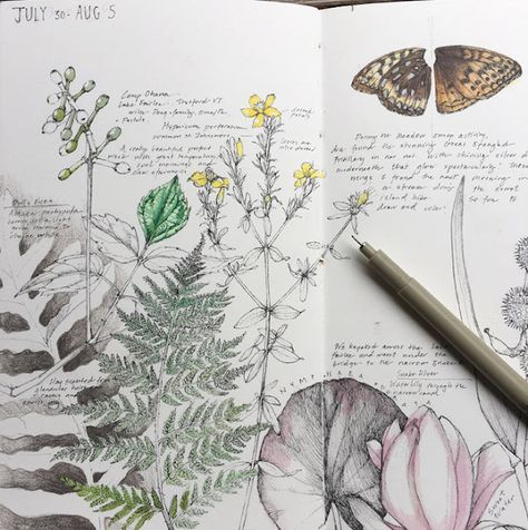 Kunstjournal Inspiration, Botanical Sketchbook, Nature Sketch, Botanical Artwork, Artist Sketchbook, Garden Journal, Sketchbook Pages, Arte Sketchbook, Sketchbook Journaling