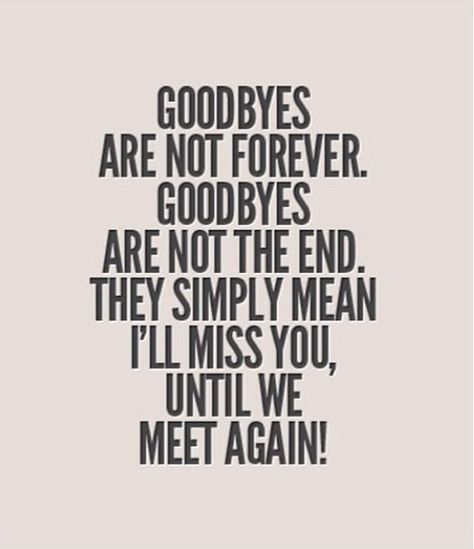 "I'll miss you until we meet again." Bittersweet Quotes, Goodbyes Are Not Forever, Goodbye Quotes, Until We Meet Again, Good Year, Meet Again, We Meet Again, A Quote, Great Quotes