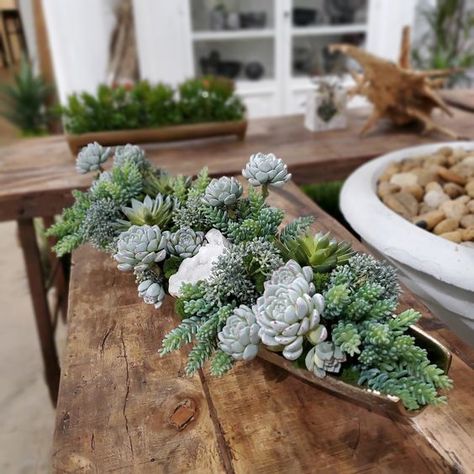 Mix of Gray-Blue Succulents, Green Donkey Tails and Blue Sedum with Natural Crystal in Bronze Rectangular Metal Tray 31"W Crystal Container, Blue Succulents, Succulent Garden Design, Succulent Centerpieces, Succulent Garden Diy, Front Porch Christmas Decor Ideas, Porch Christmas Decor Ideas, Porch Christmas Decor, Front Porch Christmas