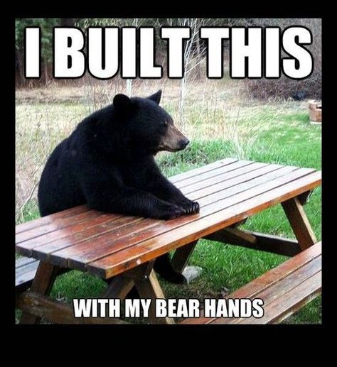 23 Terrible Memes for Those Who Love a Bad Joke - Funny Gallery Anti Humor, Anti Memes, Terrible Memes, Bear Meme, Cabin Camping, Bear Men, Gym Memes, Funny Animal Jokes, Bad Jokes